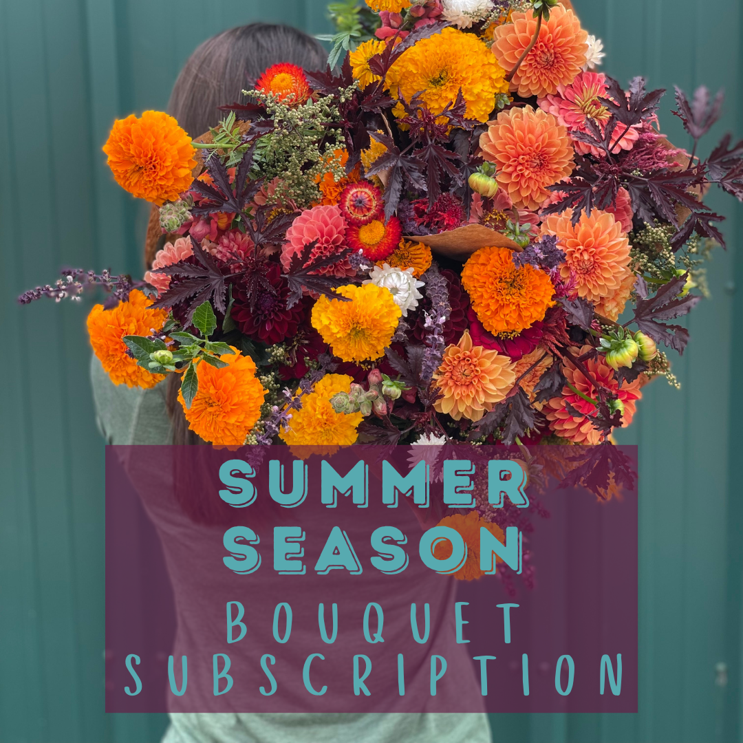 Summer Season Bouquet Subscription