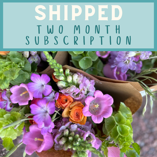 Shipped Two Month Bouquet Subscription