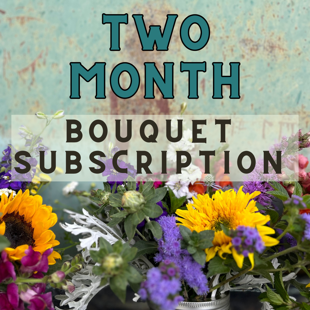Two Month Bouquet Subscription