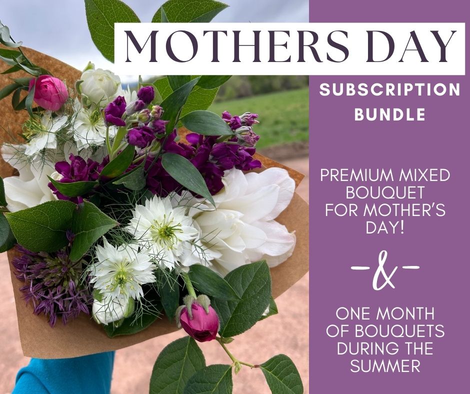 Mother's Day Subscription Bundle